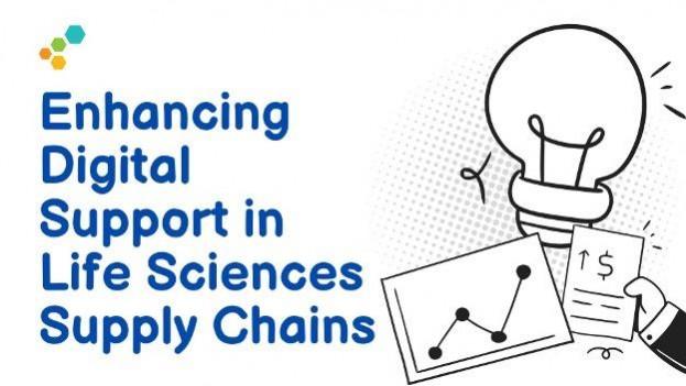 supply chain solutions