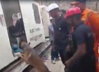 Telangana tunnel tragedy: Cadaver dogs identify human presence under rubble