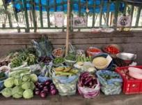India's retail inflation eases to 7-month low of 3.6 per cent in February