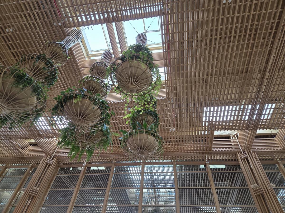 Shot on Samsung Galaxy S25 