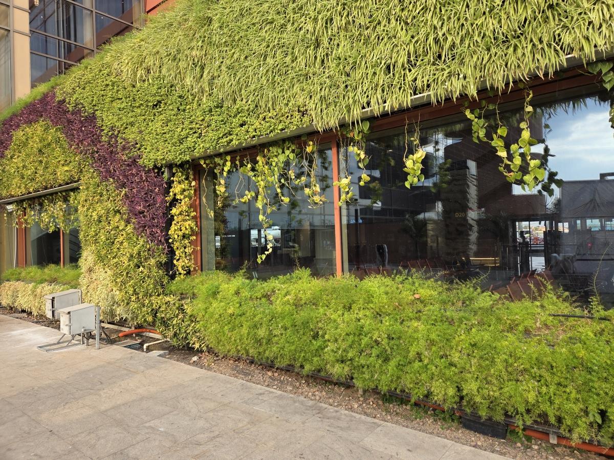 Shot on Samsung Galaxy S25 