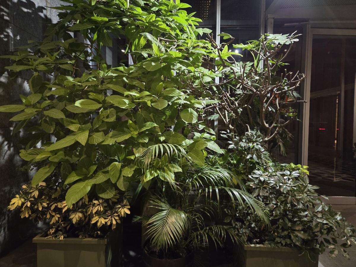 Shot on Samsung Galaxy S25 