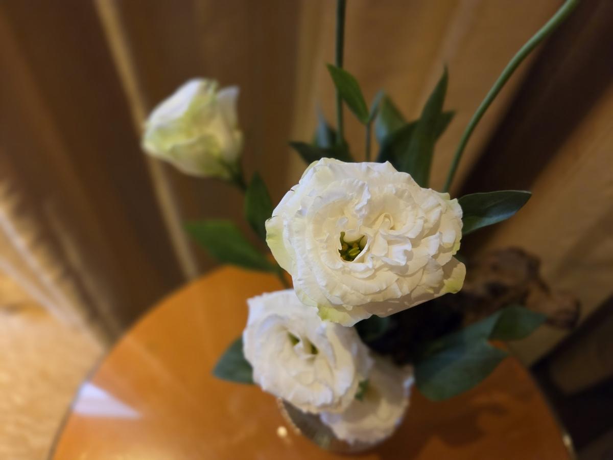 Shot on Samsung Galaxy S25 