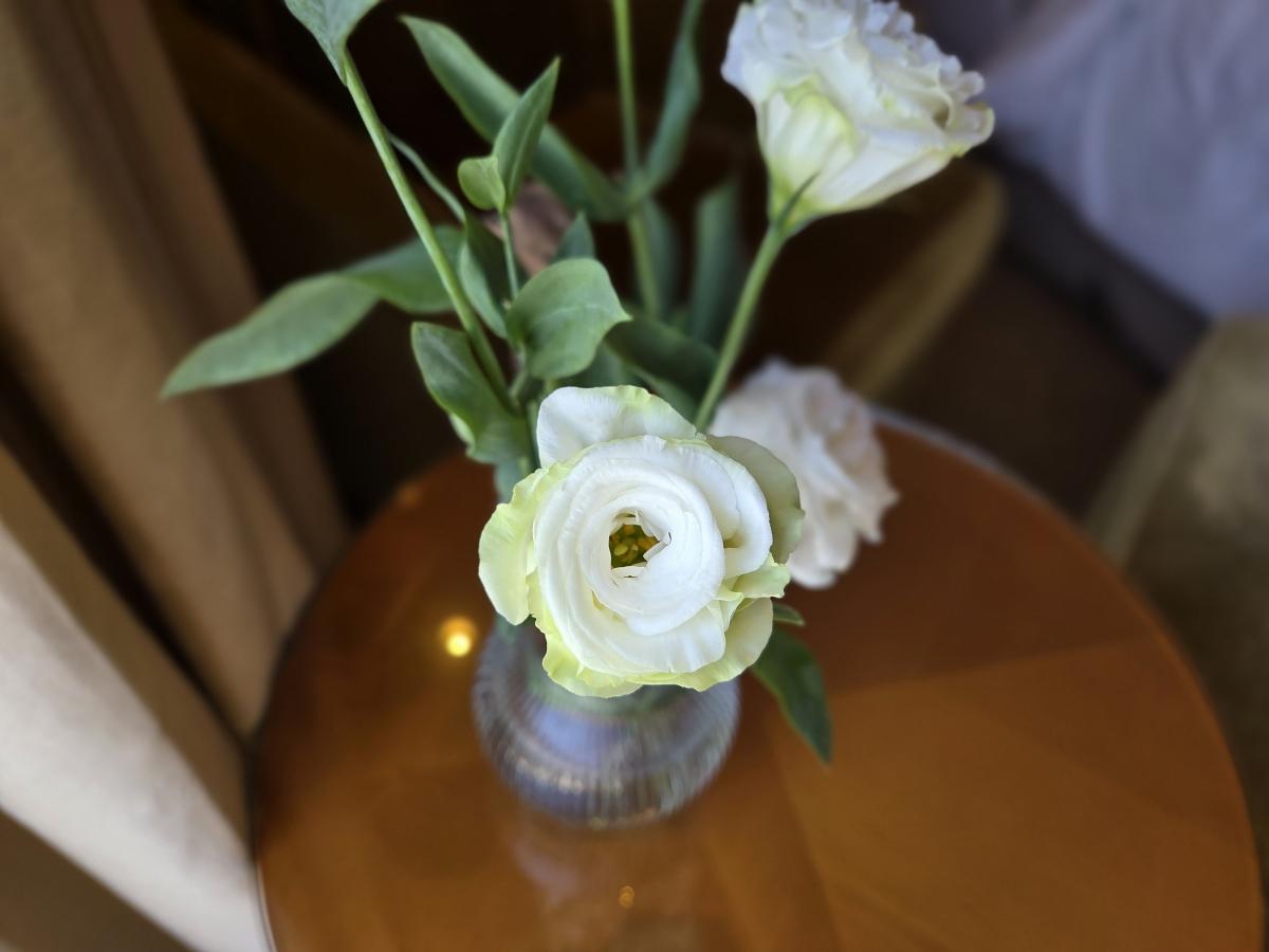 Shot on Samsung Galaxy S25 