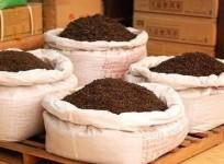 India's tea exports surge to 10-year high