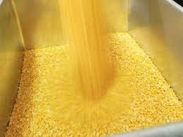 Centre's tur procurement from farmers at MSP crosses 1.3 lakh tonnes