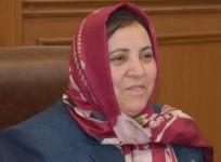 52 non-locals got domicile rights through marriage, says J&K govt