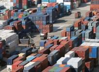 India's trade flourished in Q4 2024, defied global risks: UN Report