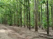 22 Maoists killed in two separate operations in Chhattisgarh