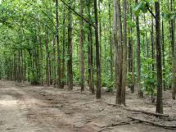 30 Maoists killed