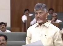 Andhra Pradesh to implement SC sub-categorisation after 2026 census: CM Naidu