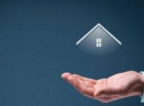 insurance industry