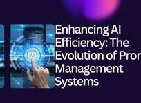 Prompt Management Systems