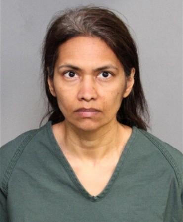 Indian-origin woman kills son on Disneyland trip, arrested