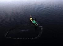 Sri Lankan Navy arrests 11 TN fishermen, seize mechanised boat