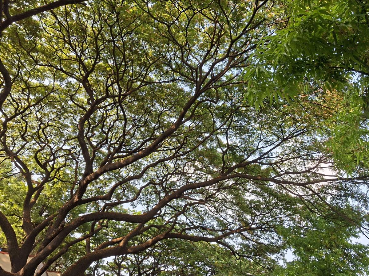 Shot on Samsung Galaxy A56