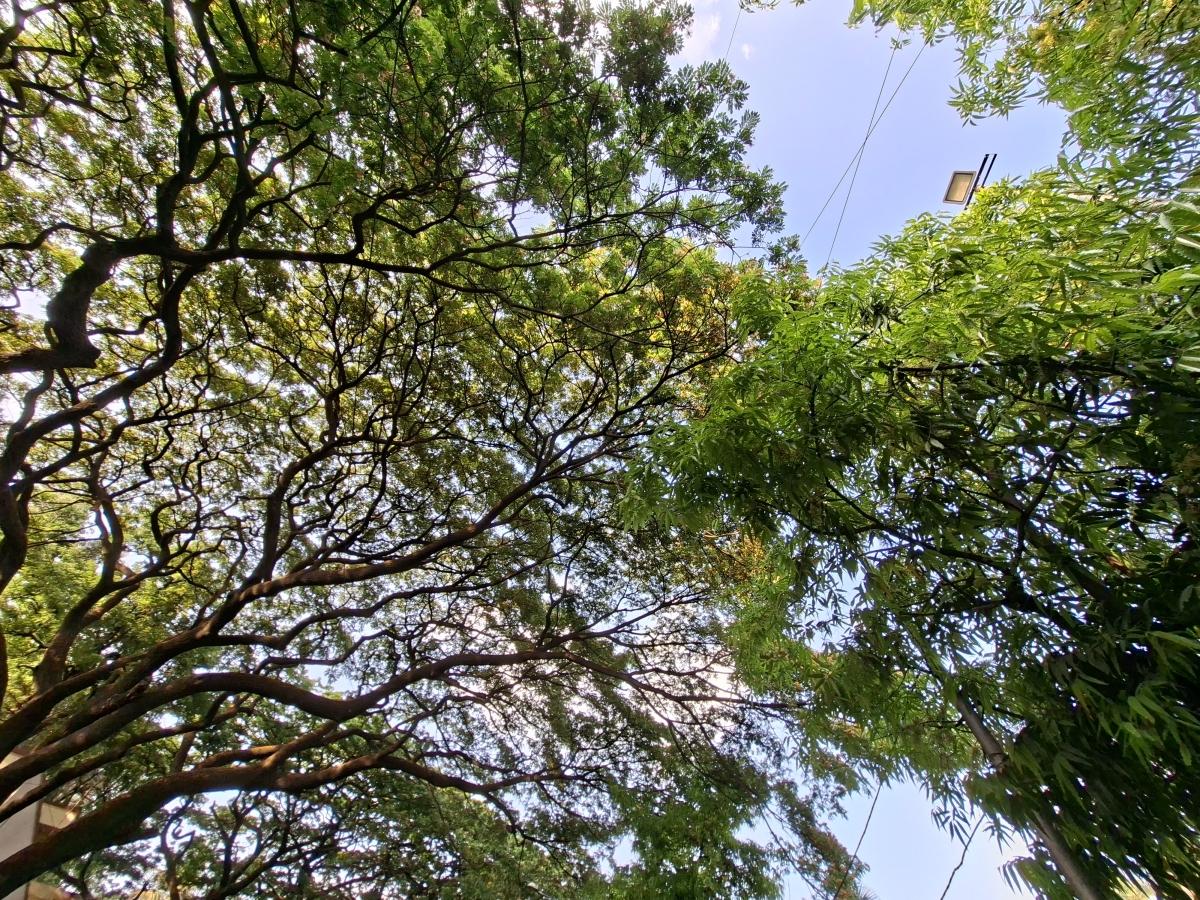 Shot on Samsung Galaxy A56