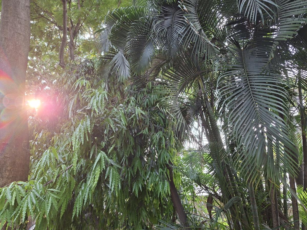 Shot on Samsung Galaxy A56