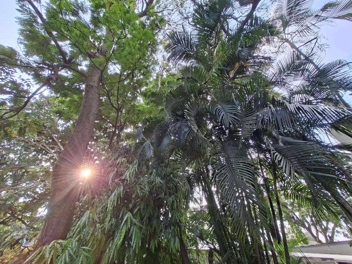 Shot on Samsung Galaxy A56