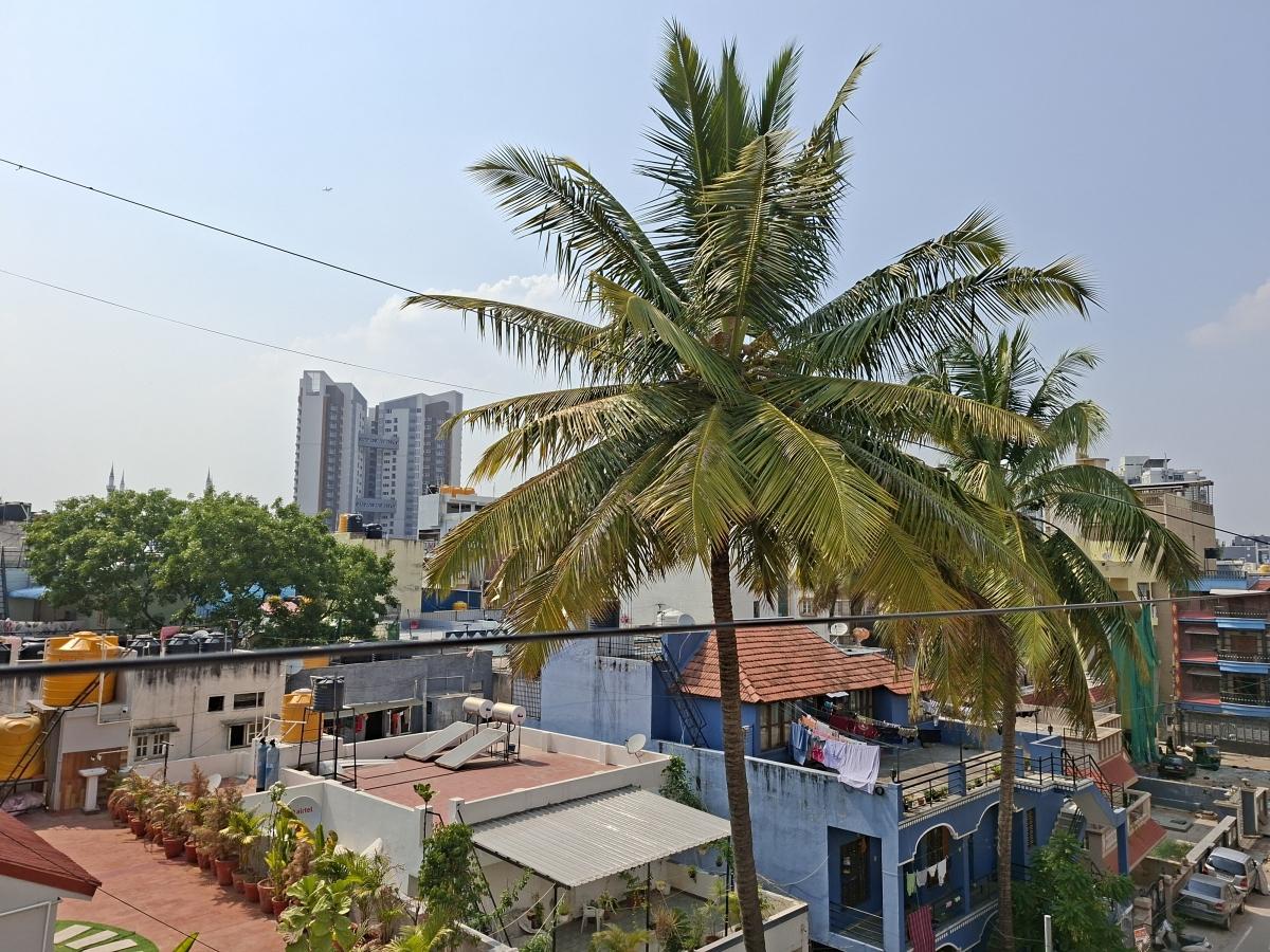 Shot on Samsung Galaxy A56