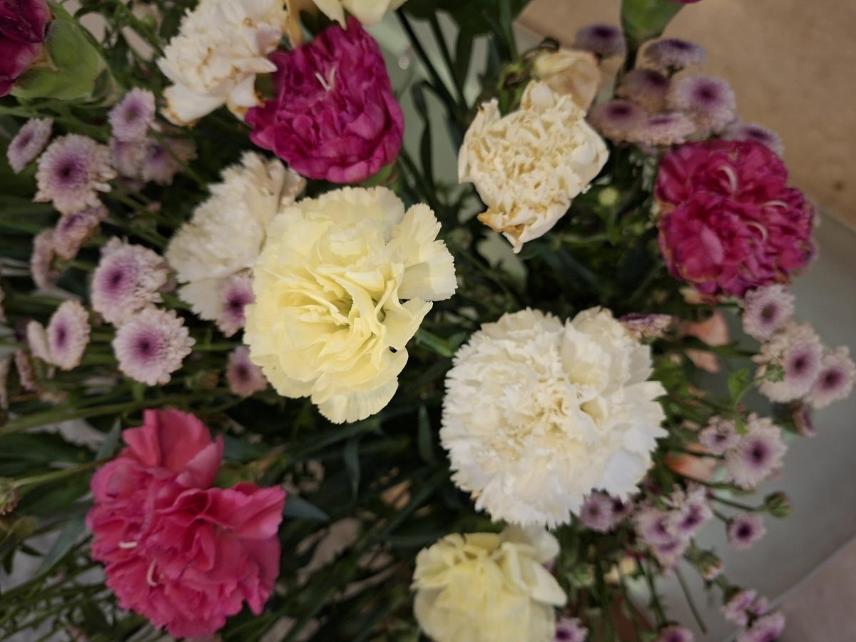 Shot on Samsung Galaxy A56