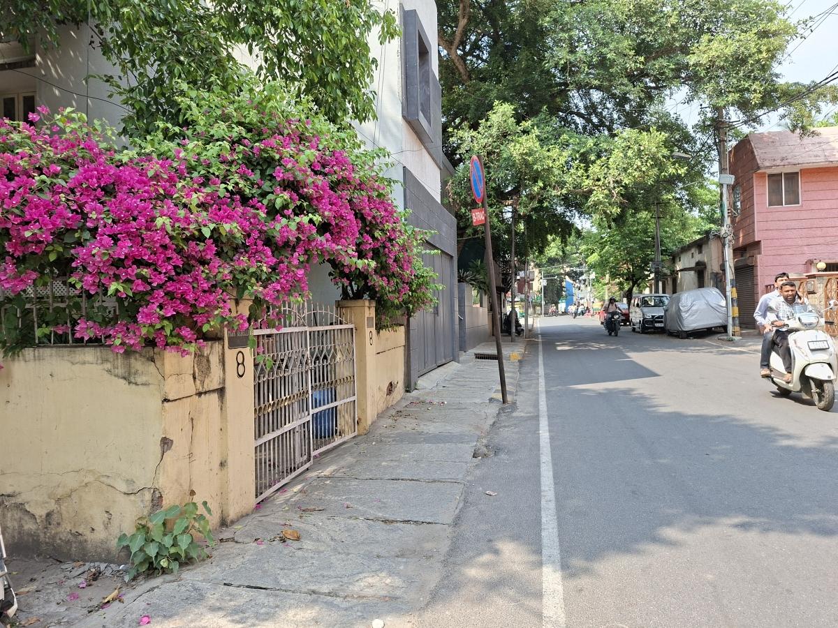 Shot on Samsung Galaxy A56