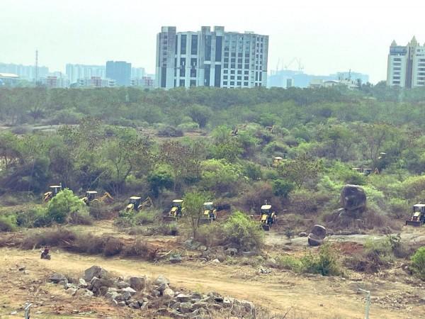 Supreme Court stays tree felling on land near Hyderabad University Telangana HC halts work on land near Hyderabad University