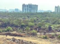 Telangana HC halts work on land near Hyderabad University