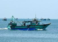 Sri Lanka releases 14 Indian fishermen during PM Modi's visit