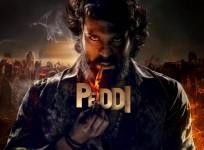 Peddi