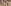 Tamannaah Bhatia stuns in saree as she visits Babulnath temple, fans recall Deepika Padukone's saree look from Chennai Express