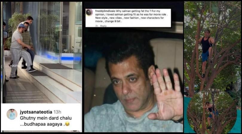 Salman Khan effortlessly climbs a tree to pick fresh berries; fans praise his impressive fitness at 60 Salman Khan effortlessly climbs a tree to pick fresh berries; fans praise his impressive fitness at 60