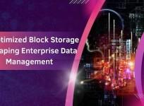 Enterprise Data Management