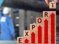 India's total exports touch record $820.93 billion in 2024-25 despite global challenges