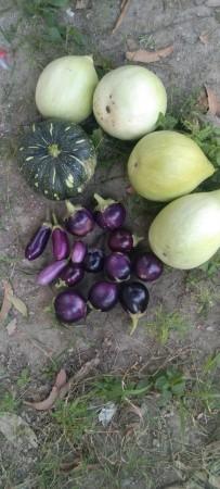 Earth Day 2025: Jackky Bhagnani talks sustainability, kitchen garden, climate change [Exclusive]