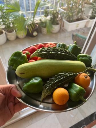 Earth Day 2025: Jackky Bhagnani talks sustainability, kitchen garden, climate change [Exclusive]