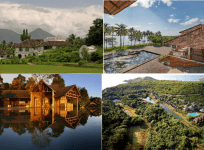 Corporate Burnout Meets Its Match: Ayurveda & Naturopathy to the Rescue
