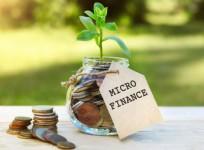 India's microfinance sector projected to grow by 12–15 pc in FY26