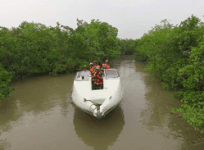 Intelligence network beefed up along Sundarban's coastal borders amid infiltration fears