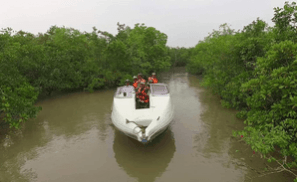 Intelligence network beefed up along Sundarban's coastal borders amid infiltration fears Intelligence network beefed up along Sundarban's coastal borders amid infiltration fears