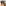 Waves 2025 Summit: Ranbir Kapoor, Alia Bhatt, SRK, Akshay Kumar seated together; Deepika Padukone sits with Mira Rajput [Inside Pics]