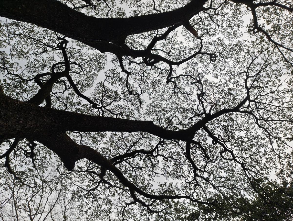 Shot on Nothing Phone (3a) Shot on Nothing Phone (3a)