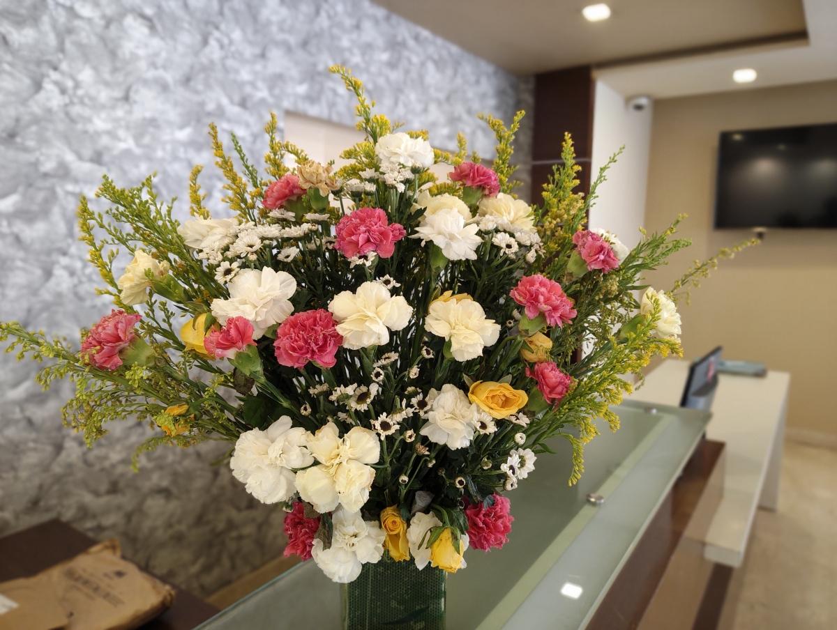 Shot on Nothing Phone (3a) Shot on Nothing Phone (3a)