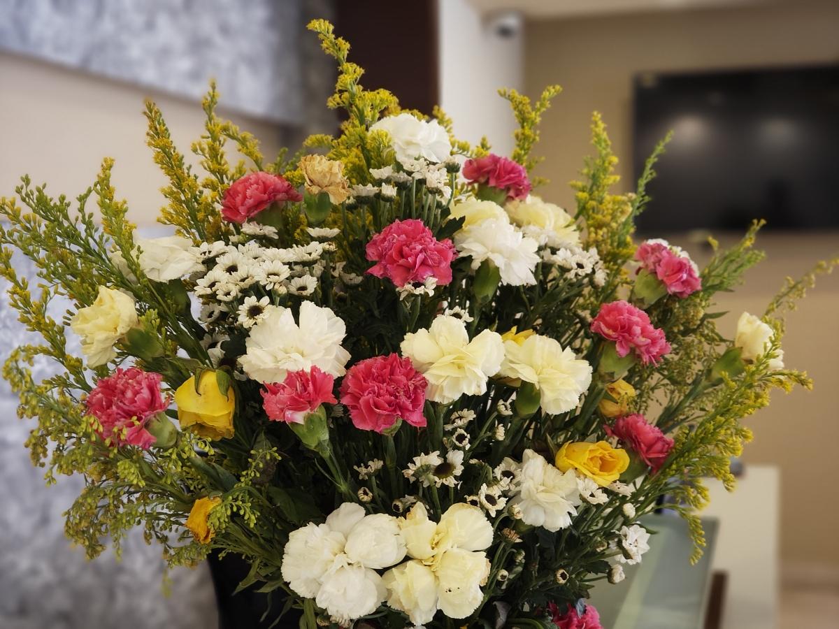 Shot on Nothing Phone (3a) Shot on Nothing Phone (3a)