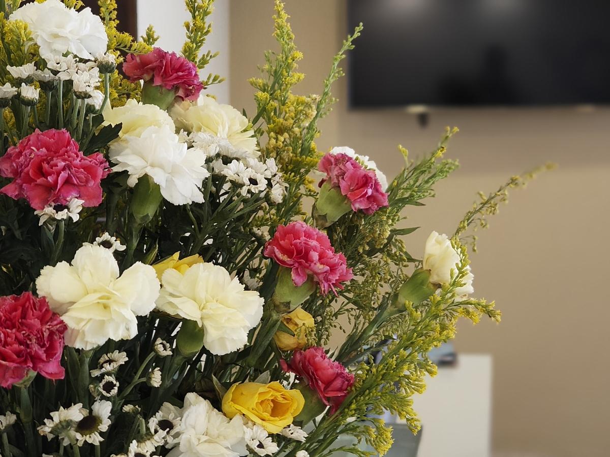 Shot on Nothing Phone (3a) Shot on Nothing Phone (3a)