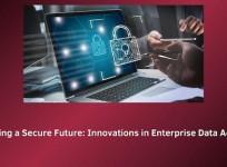robust security frameworks