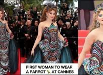 Cannes 2025: Urvashi Rautela goes bold in multi-coloured, long trail gown; carries parrot clutch worth Rs 4 lakh; fans say 'Awful make-up, tacky outfit '