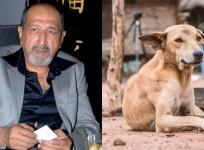 Tinnu Anand