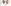 Rajinikanth Kamal Haasan 3