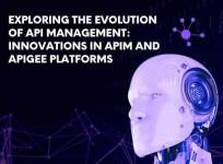 Google's Apigee